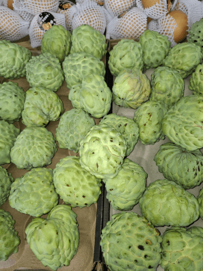 Custard Apple