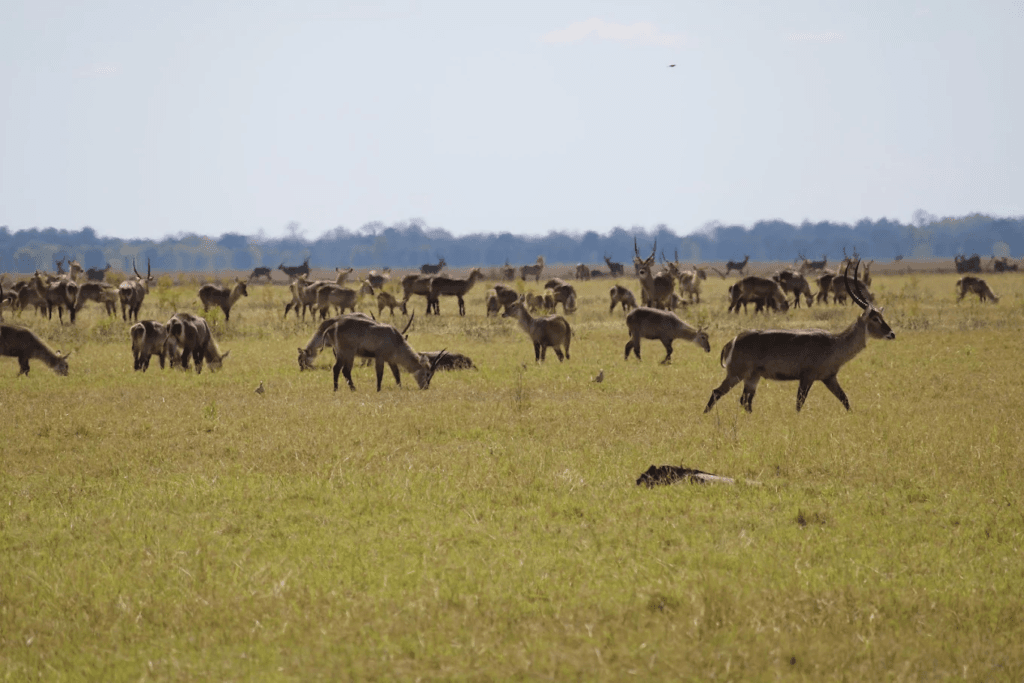 Dark Tourism Sites in Mozambique